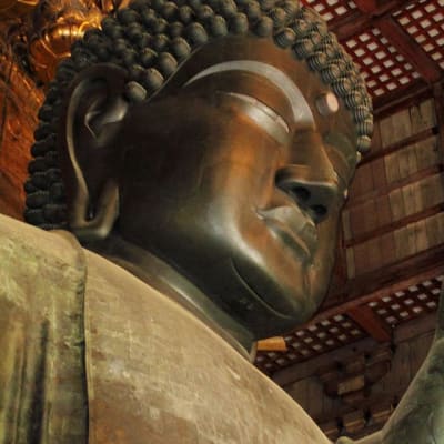 Lo mejor del Patrimonio Mundial de Japón