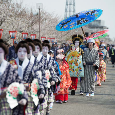 Tsubame Sakura Matsuri