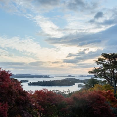 Đường bờ biển Miyagi