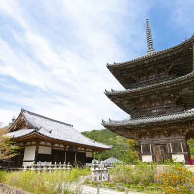Best of Japan's World Heritage
