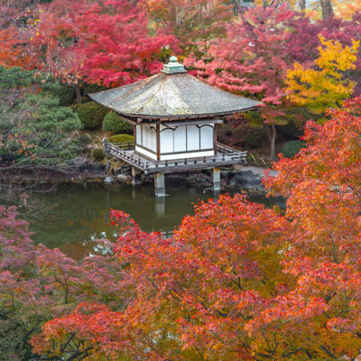 Castillo de Wakayama