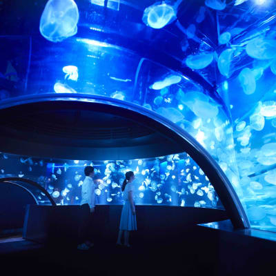 Kyoto-Aquarium