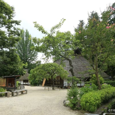 산슈아스케야시키