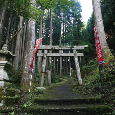 Wakasa Benzaiten (santuario Ejima-jinja)