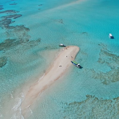 Isla de Yoron (Yoronjima)