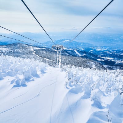 Zao Snow Monsters (Miyagi)