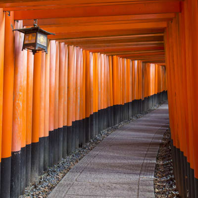 Đền thờ Fushimi Inari Taisha