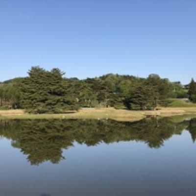 Reruntuhan Muryokoin