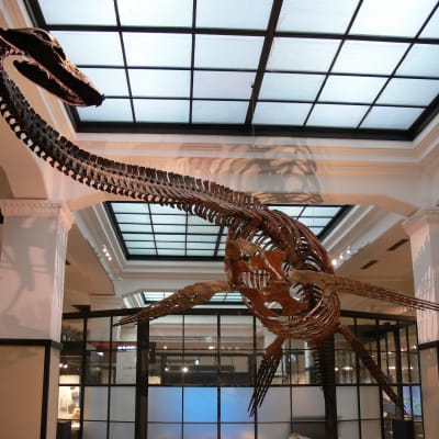 Museo Nacional de Naturaleza y Ciencia