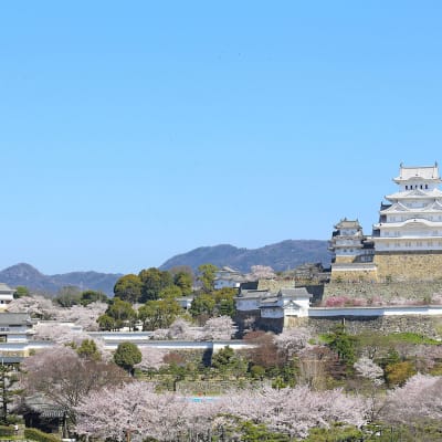 Burg Himeji