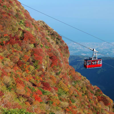 Herbstfarben auf dem Nita-Pass