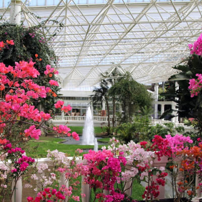 Flower Park Kagoshima