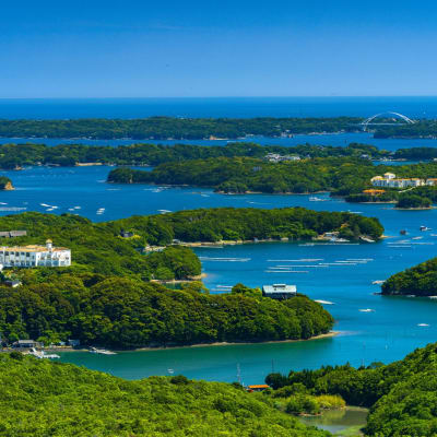 Se ressourcer dans la préfecture de Mie : récupérez dans des sources d'eau chaude naturelles et profitez des saveurs somptueuses de la terre et de la mer