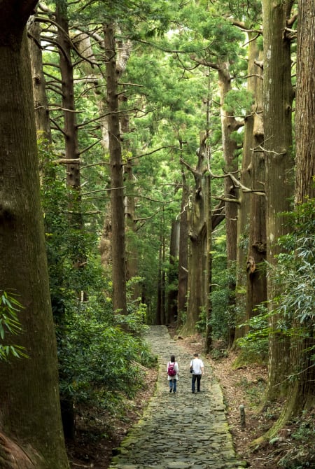 couple qui marche dans la foret de Kumano au Japon