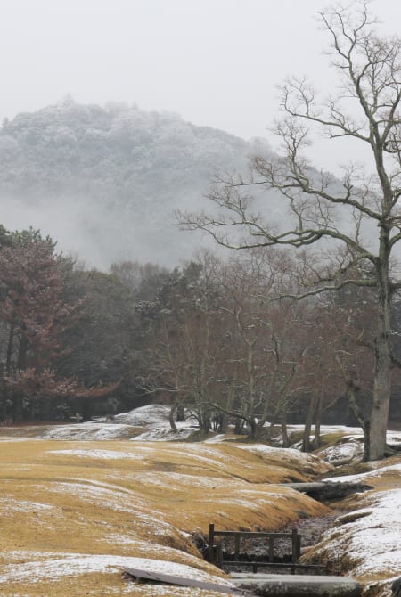 mt. kasuga-yama area