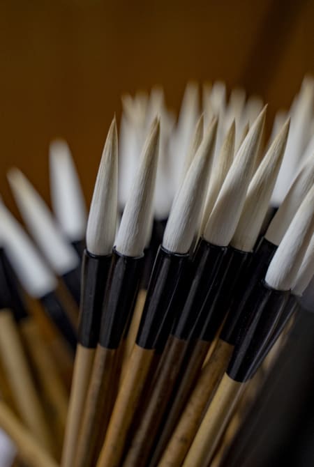 Nara Brushes