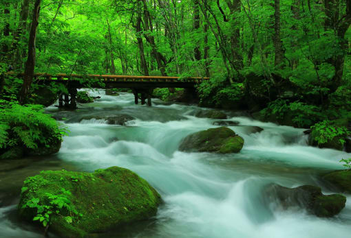 Oirase Mountain Stream