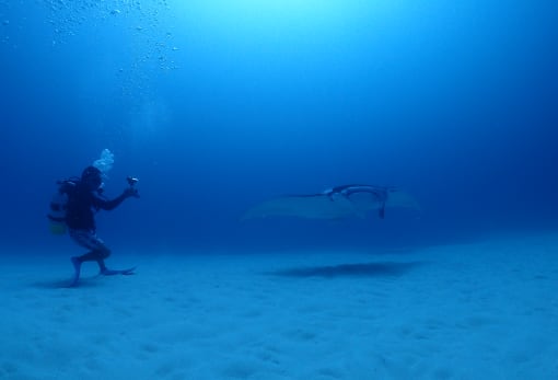 Diving in Ishigaki Island