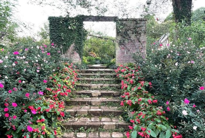 instagram worthy spots in japan acao forest