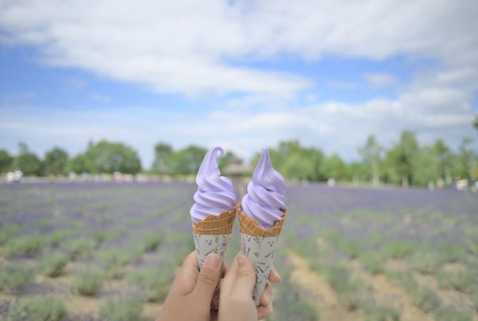Hokkaido Furano lavender soft-serve ice cream