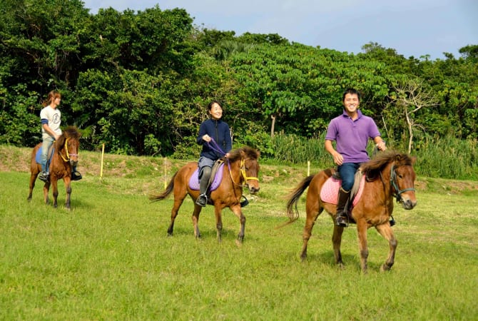riding horses in the grassland