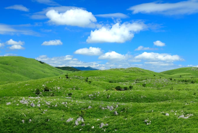 Akiyoshi-dai Plateau Area