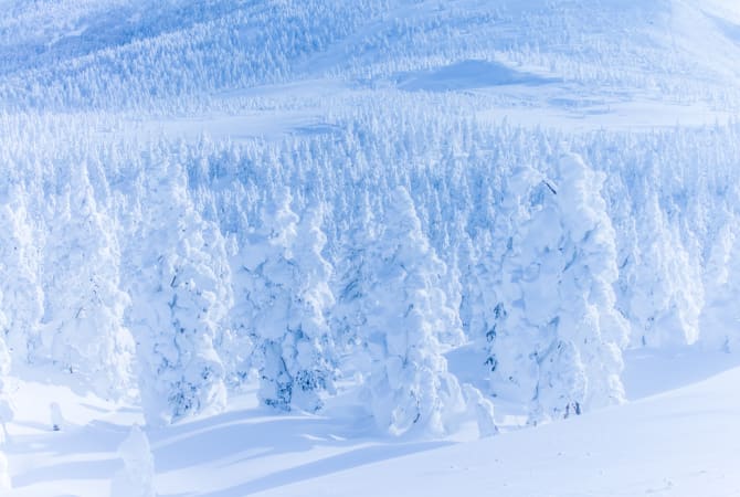 Zao Juhyo Snow Monsters-WIN