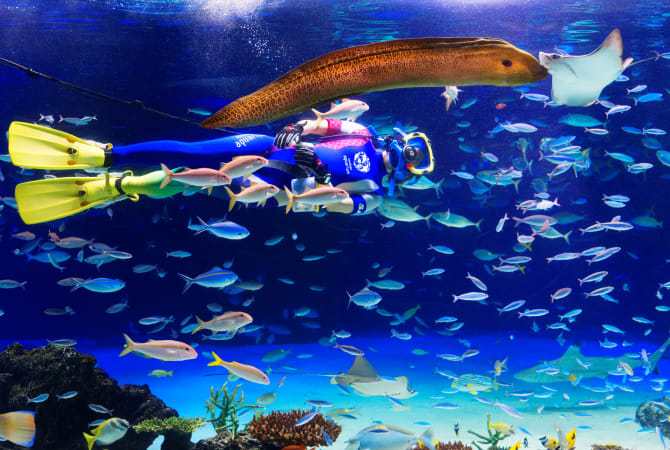 Sunshine Aquarium