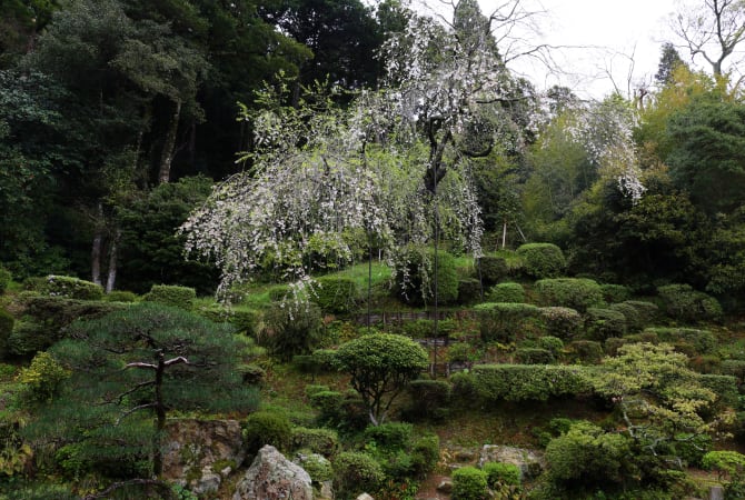 Iko-ji Teien Garden