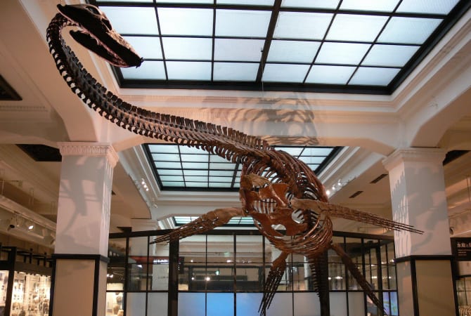 National Museum of Nature and Science