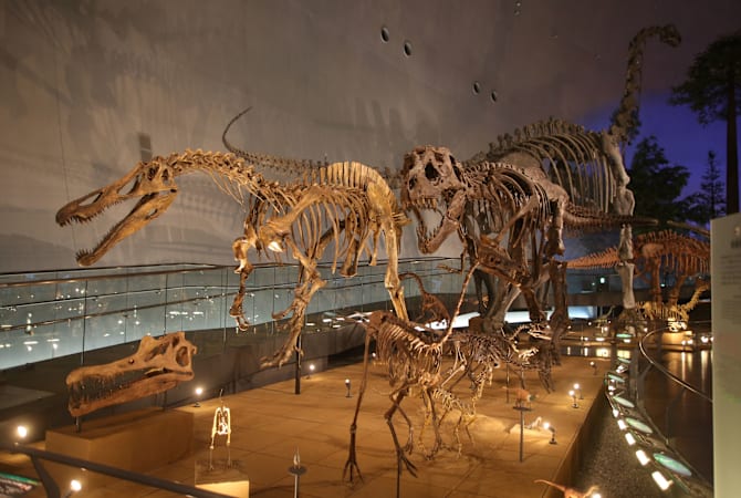 Fukui Prefectural Dinosaur Museum_mv