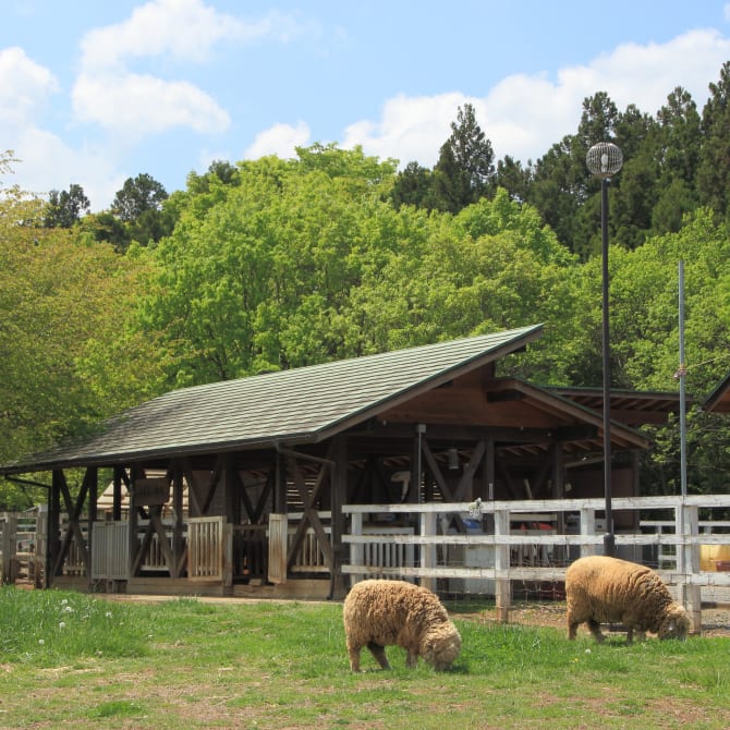 Chichibu Hitsujiyama Park