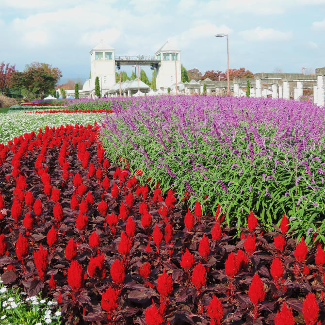 Gunma Flower Park