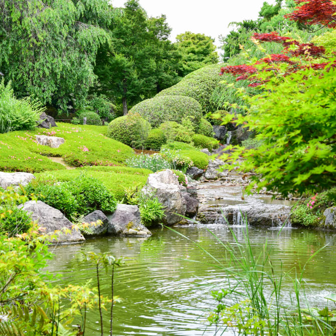 Myoshinji Temple
