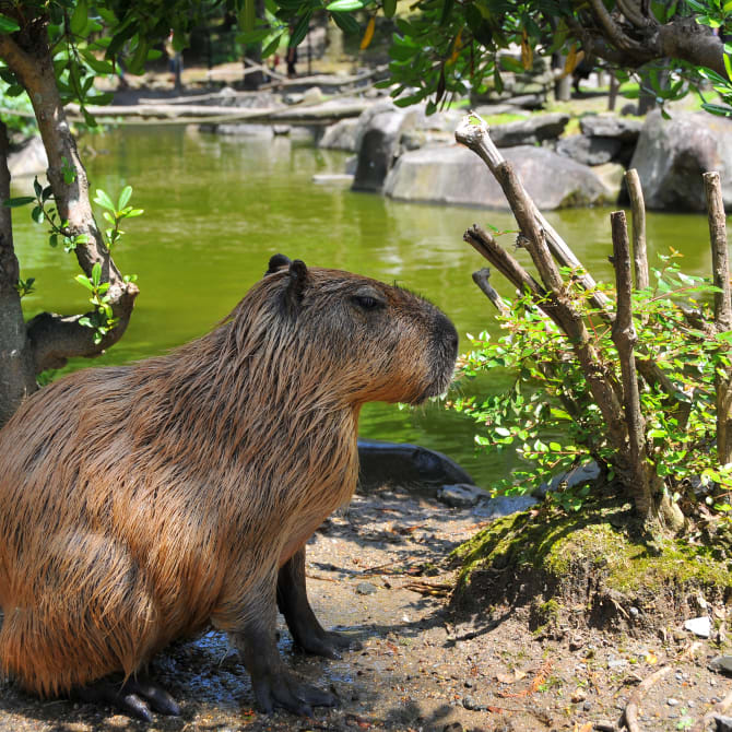 Nagasaki Bio Park
