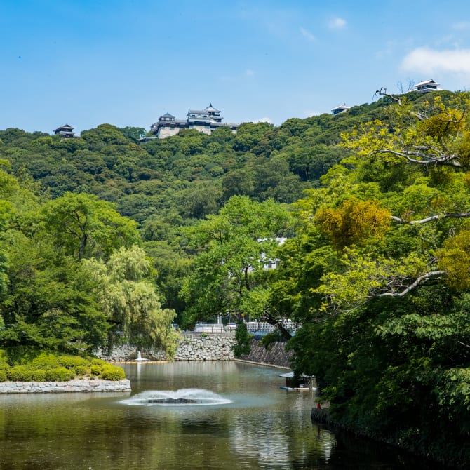 Matsuyama Shiroyama Park
