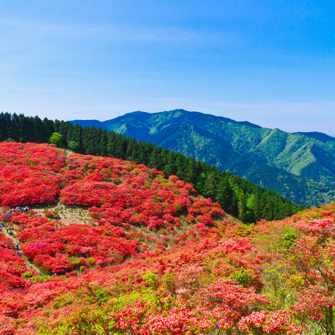 Mt. Katsuragi