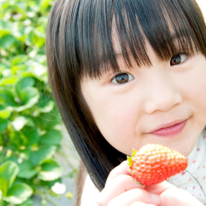 Fruit and Flower Picking in Hamamatsu