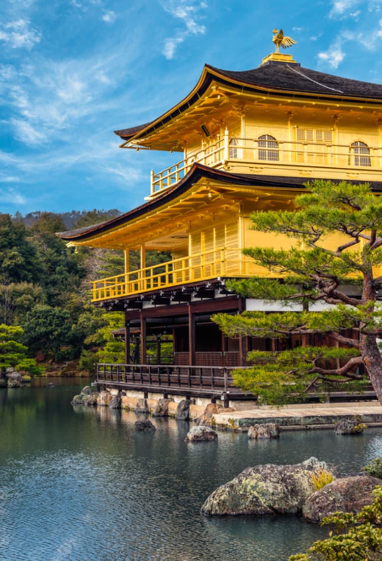 Japonês do Largo do Rato - Avaliações de viajantes - Yabai! - Tripadvisor