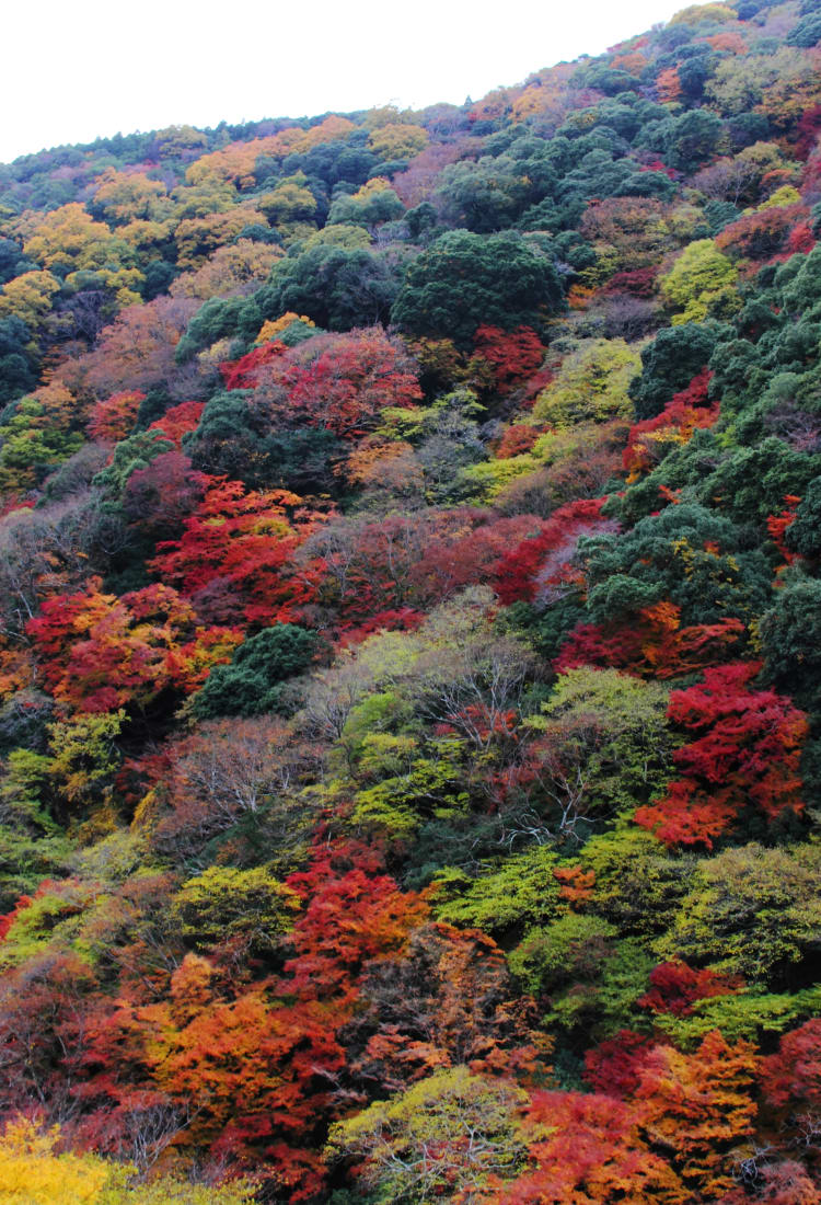 northern osaka