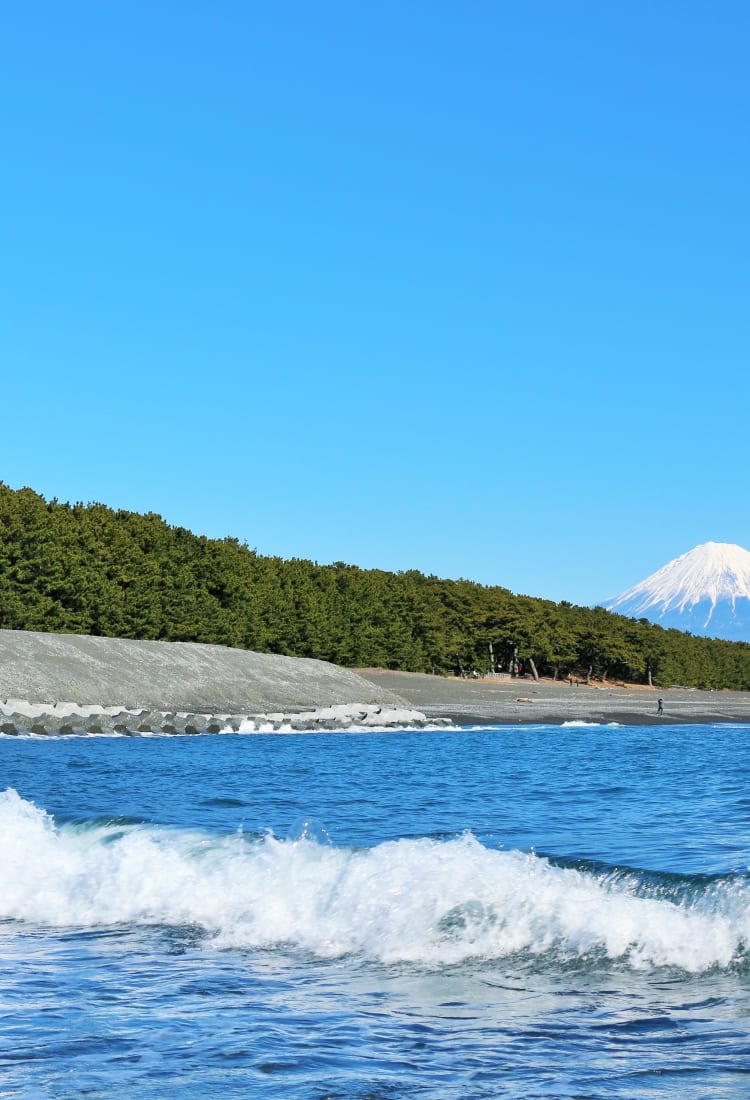 Miho-no-Matsubara Pine Grove