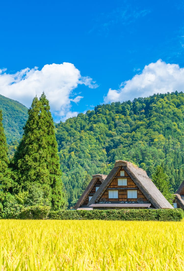 The Historic Villages of Shirakawa-go & Gokayama (UNESCO) | World