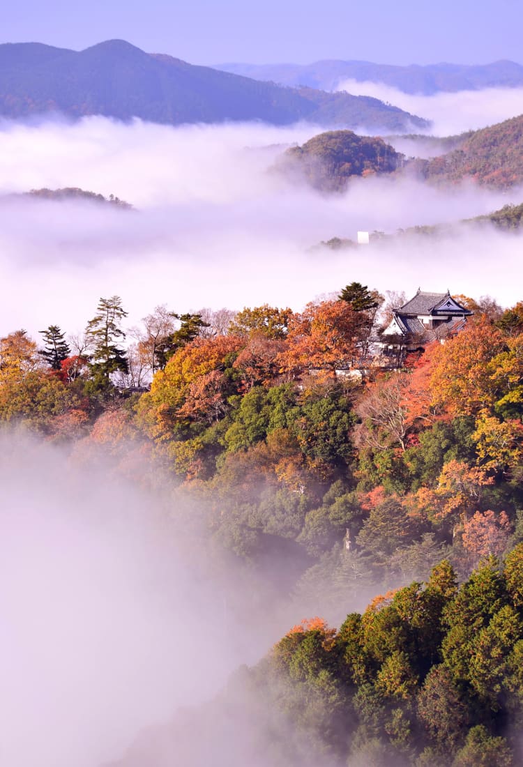 bitchu matsuyama castle