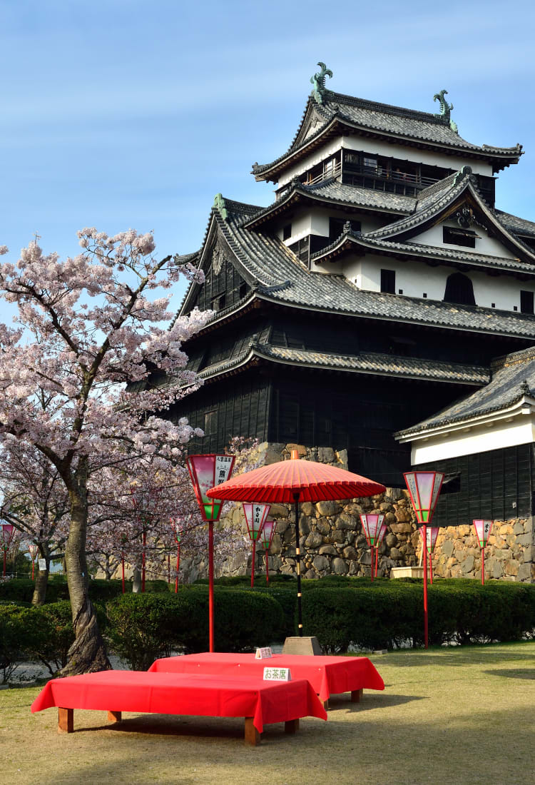 Matsue Castle