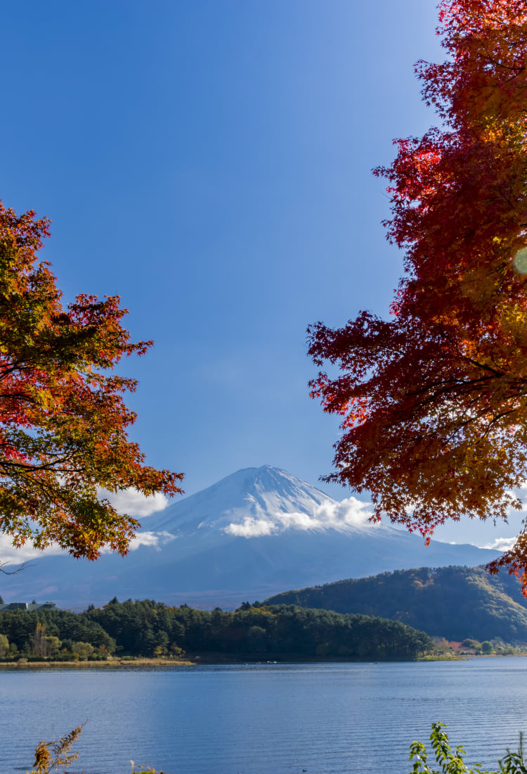 fuji five lakes