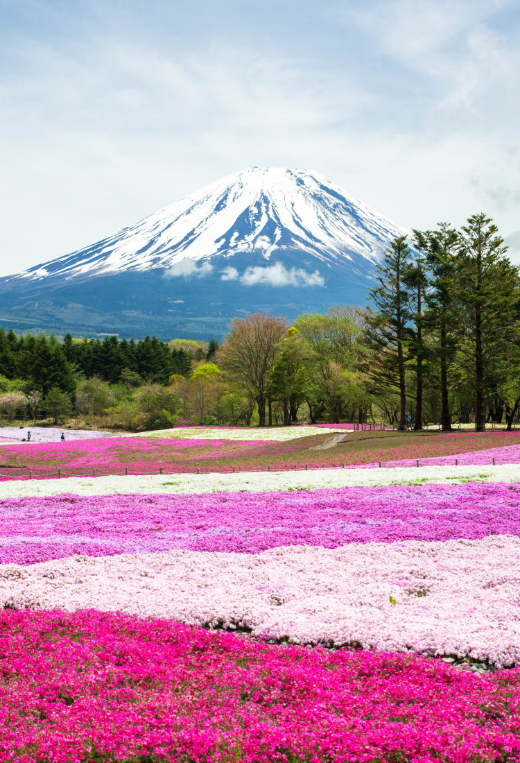 fuji five lakes