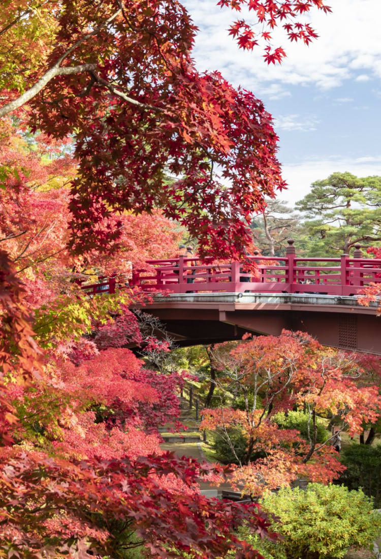 新潟市 新潟景點 日本旅遊 Jnto