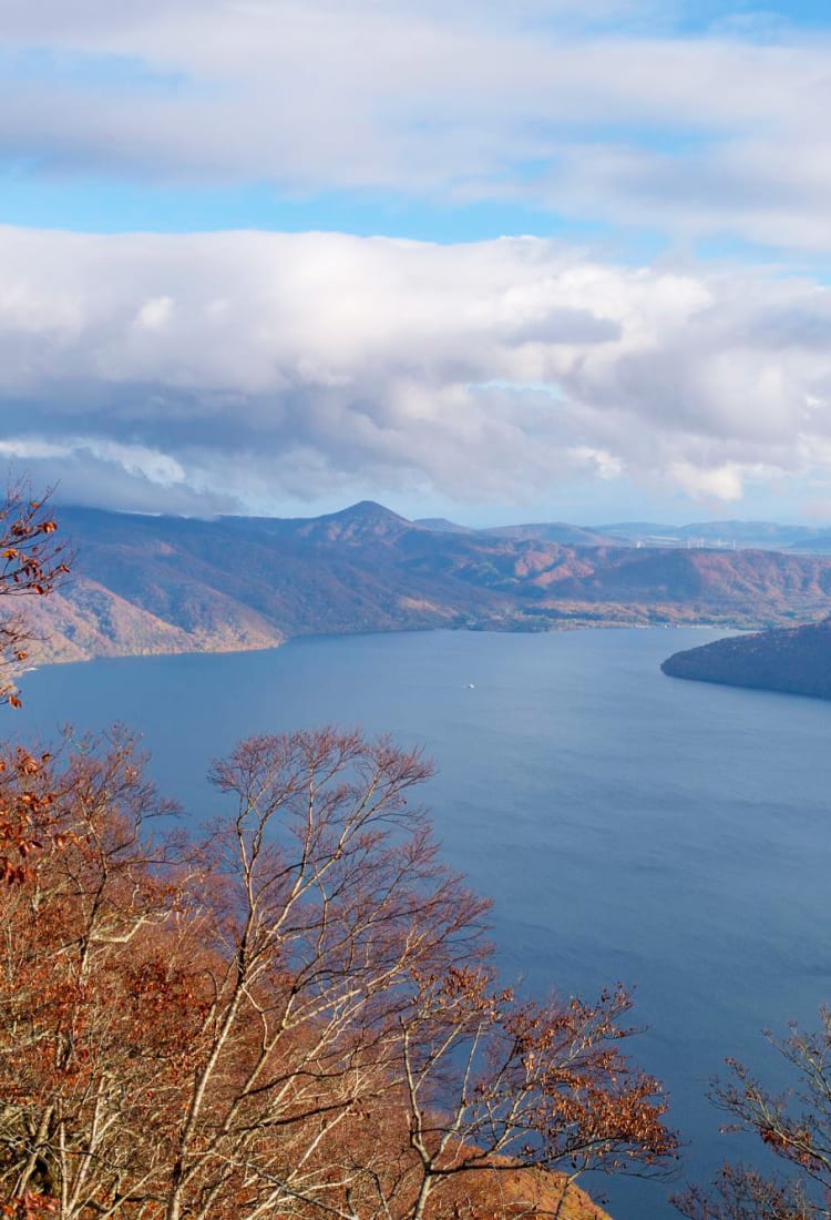 Cenário de floresta com lago e montanhas