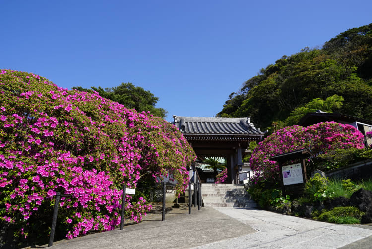 An'yo-in Temple