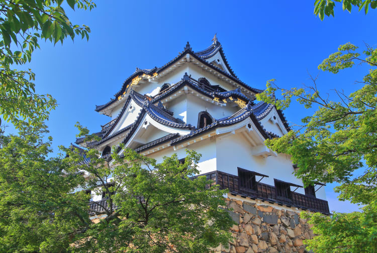 Hikone Castle